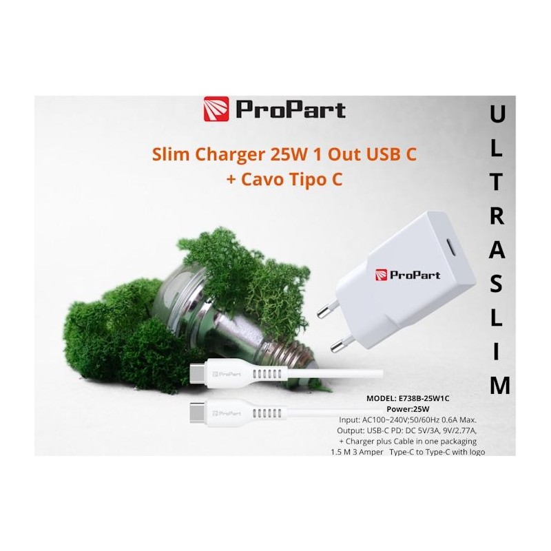 Slim Carica Batterie + Cavo Tipo C 25W 1 Out USB C Slim Carica Batterie + Cavo Tipo C 25W 1 Out USB C